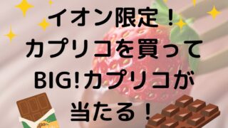 イオンでカプリコを買って豪華賞品が当たるキャンペーン！