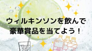 ウィルキンソンを飲んで豪華賞品が当たる！