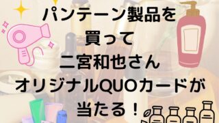 パンテーン製品を買って二宮和也さんQUOカード500円分が当たる！