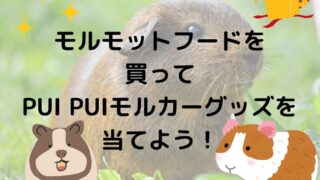 モルモットフードを買ってPUI PUIモルカーグッズが当たる！